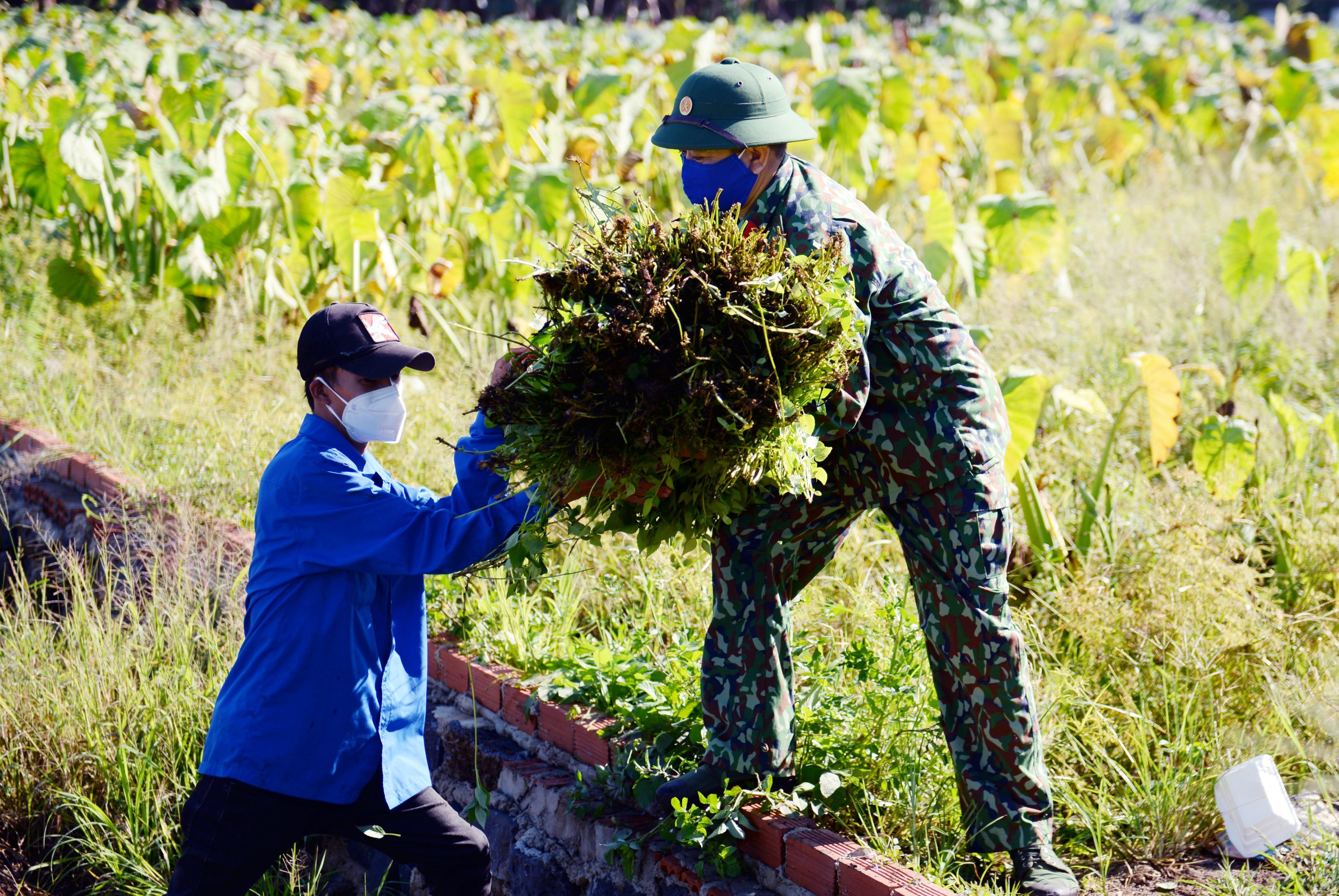 Kỳ V: Những ánh sao trong đại dịch (Tiếp theo và hết)